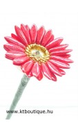 Gerbera virág, piros